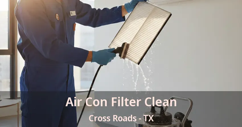 Air Con Filter Clean Cross Roads - TX