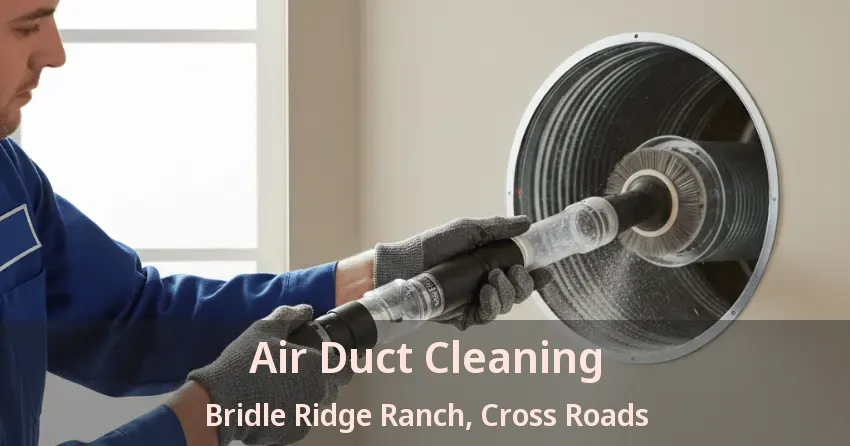 Air Duct Cleaning Bridle Ridge Ranch, Cross Roads - TX