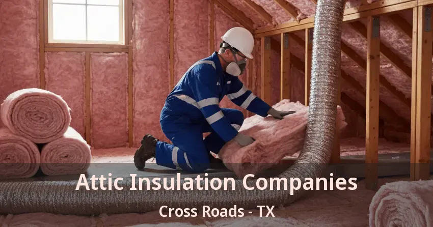 Attic Insulation Companies Cross Roads - TX