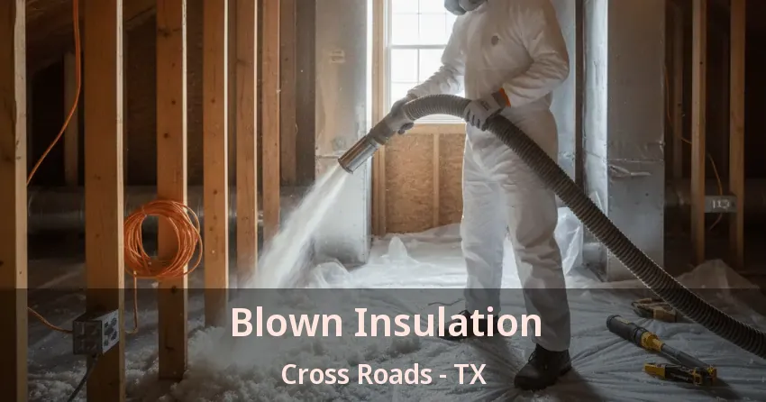 Blown Insulation Cross Roads - TX