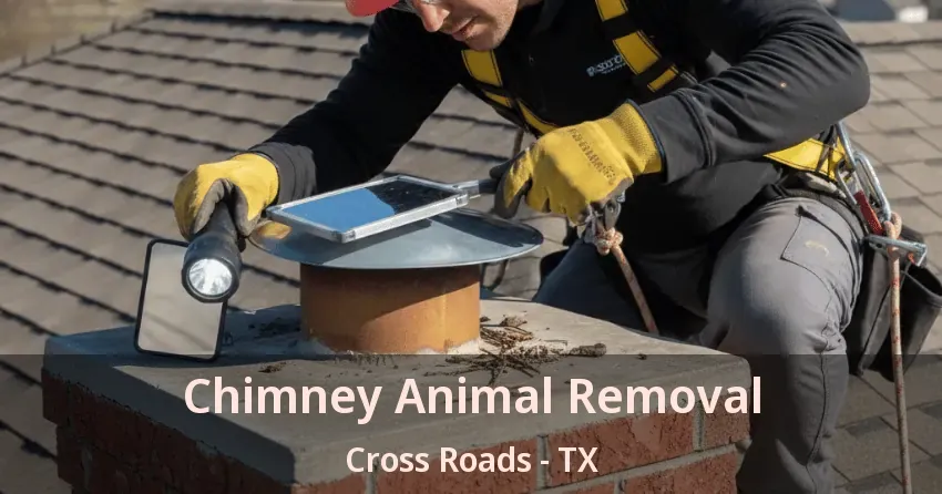 Chimney Animal Removal Cross Roads - TX
