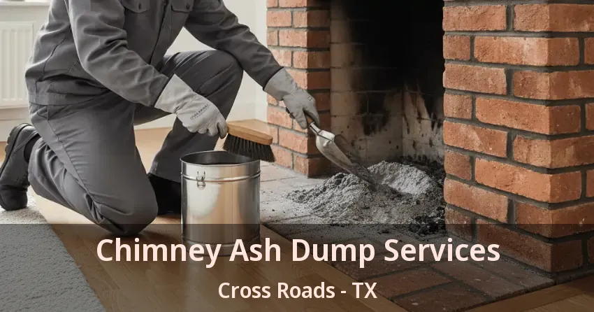 Chimney Ash Dump Services Cross Roads - TX