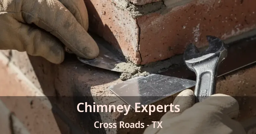 Chimney Experts Cross Roads - TX
