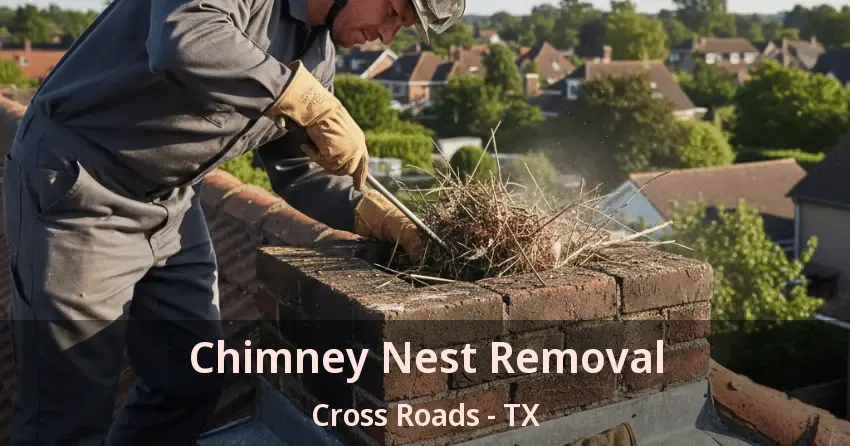 Chimney Nest Removal Cross Roads - TX
