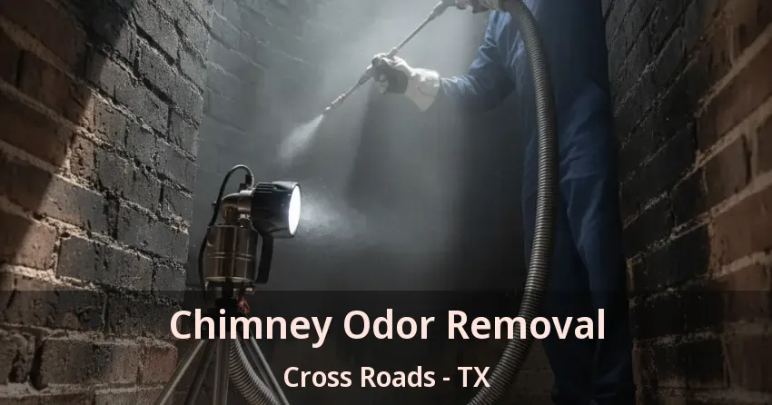 Chimney Odor Removal Cross Roads - TX