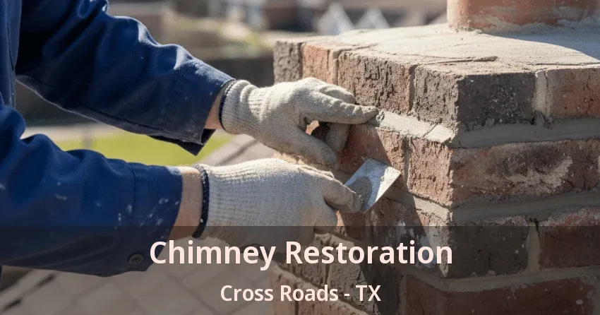 Chimney Restoration Cross Roads - TX Chimney Restoration Cross Roads - TX