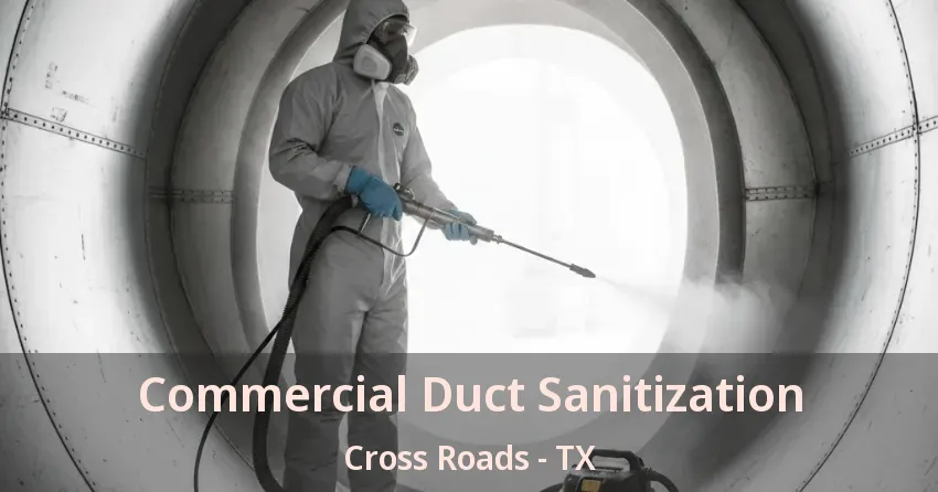 Commercial Duct Sanitization Cross Roads - TX Commercial Duct Sanitization Cross Roads - TX
