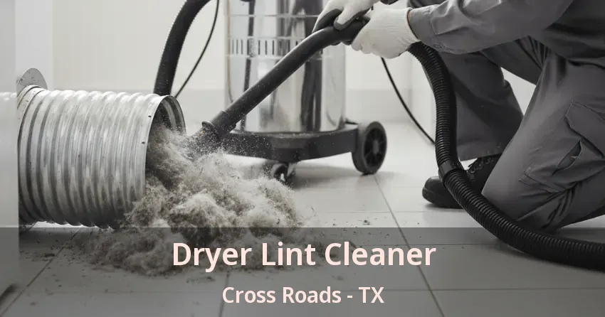 Dryer Lint Cleaner Cross Roads - TX Dryer Lint Cleaner Cross Roads - TX