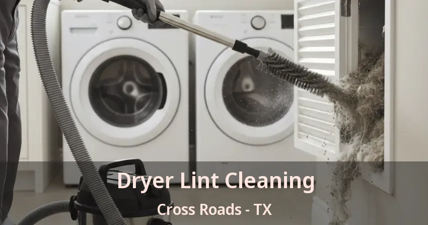 Dryer Lint Cleaning Cross Roads - TX