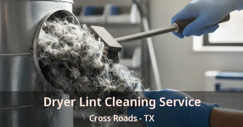Dryer Lint Cleaning Service Cross Roads - TX