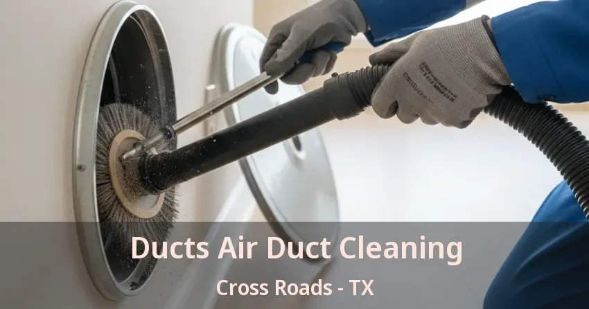 Ducts Air Duct Cleaning Cross Roads - TX Ducts Air Duct Cleaning Cross Roads - TX