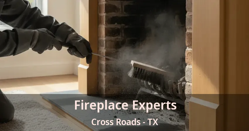 Fireplace Experts Cross Roads - TX