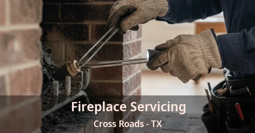 Fireplace Servicing Cross Roads - TX