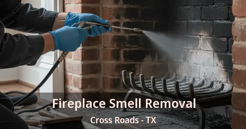 Fireplace Smell Removal Cross Roads - TX