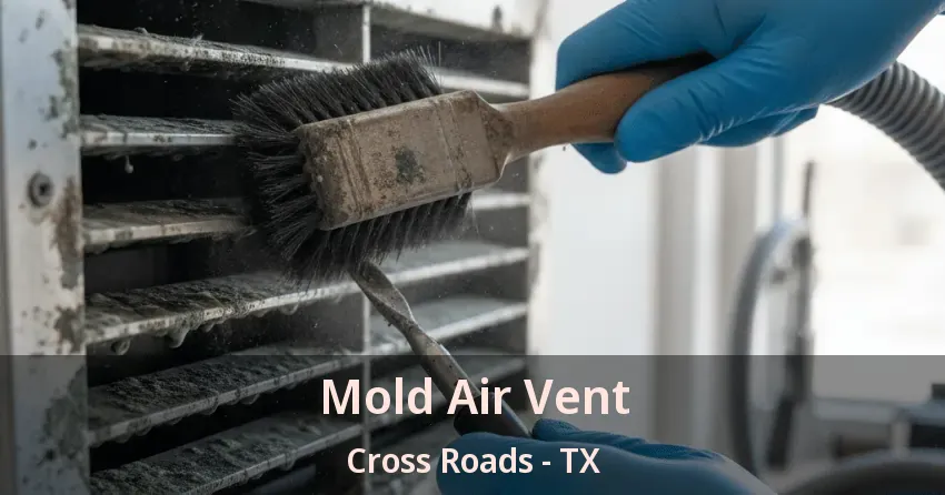 Mold Air Vent Cross Roads - TX