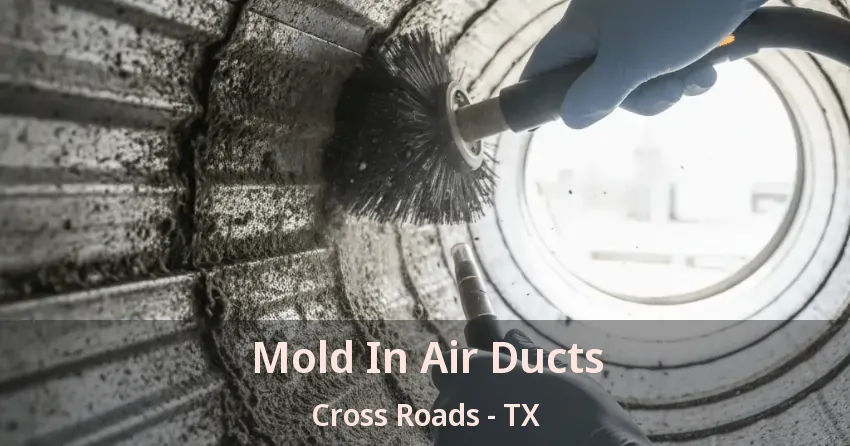 Mold In Air Ducts Cross Roads - TX