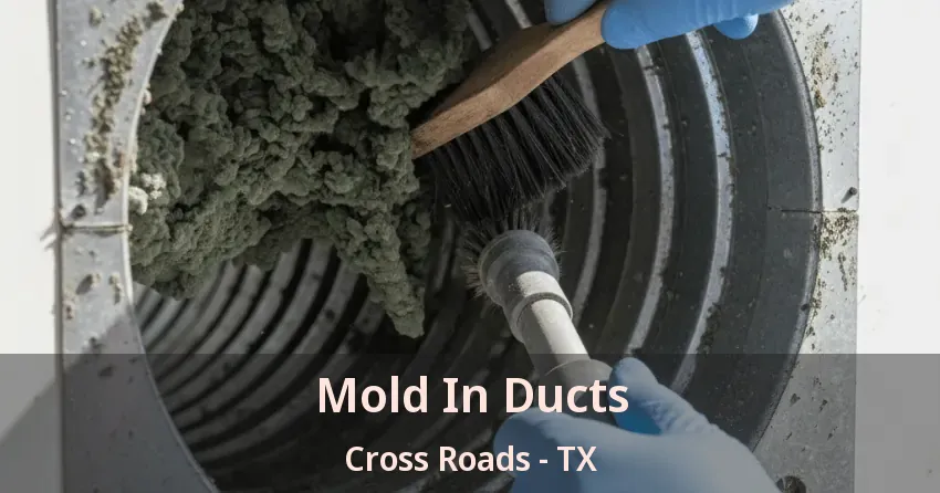 Mold In Ducts Cross Roads - TX