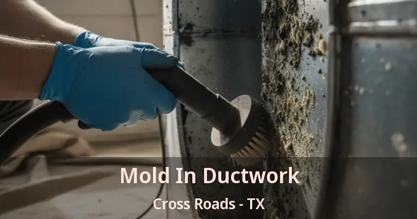 Mold In Ductwork Cross Roads - TX