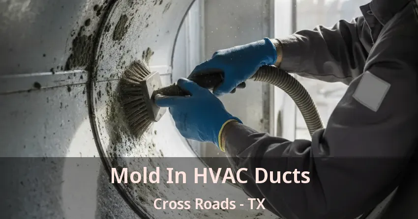 Mold In HVAC Ducts Cross Roads - TX
