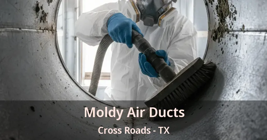 Moldy Air Ducts Cross Roads - TX